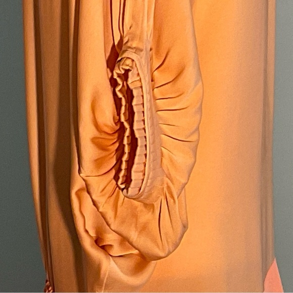 Diane Von Furstenberg Peach/Apricot Silk Drop Waist Batwing Puffed Sleeves Dress - Picture 4 of 16